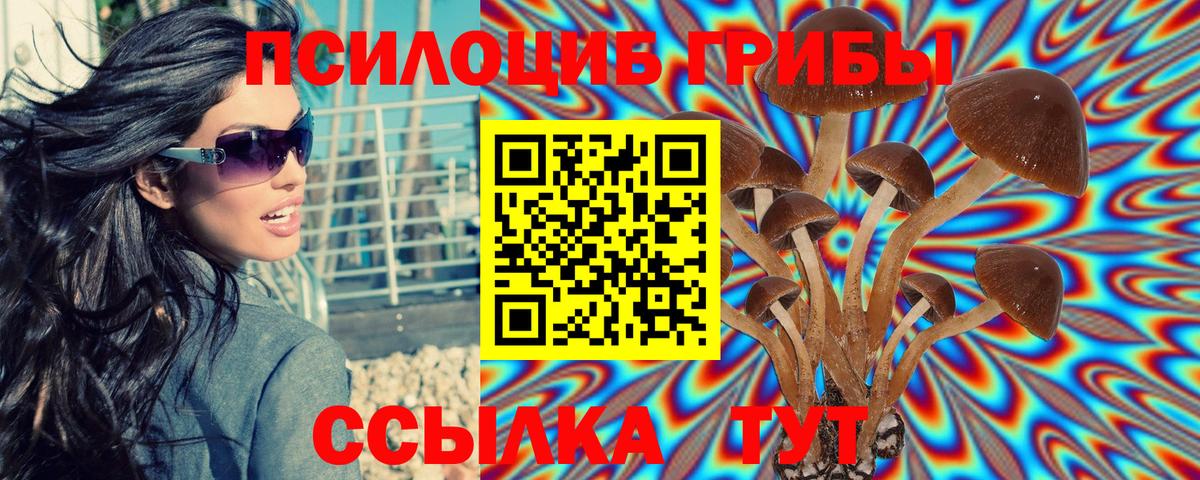 Мурино  Псилоцибиновые грибы MAGIC MUSHROOMS  Вход с VPN 